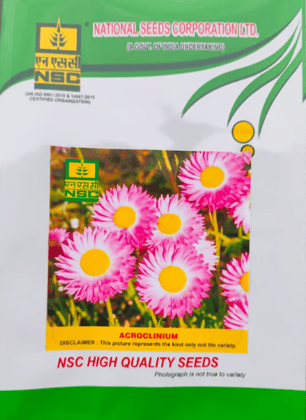 NSC Acrolinium Flower Seed -2 gm packet