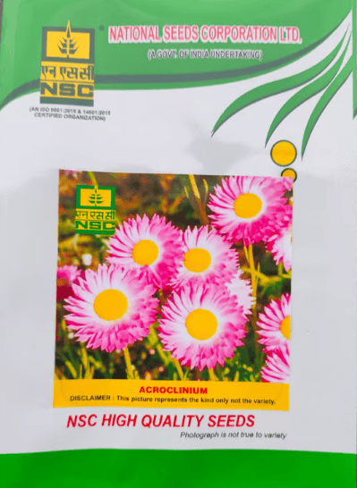 NSC Acrolinium Flower Seed -2 gm packet