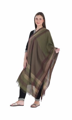 Toosh Moda Women's Embellished Beautiful Ethnic Winter Wear  Shawls (Olive 60 * 180)