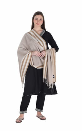 Toosh Moda Women's Embellished Beautiful Ethnic Winter Wear  Shawls (Beige 60 * 180)