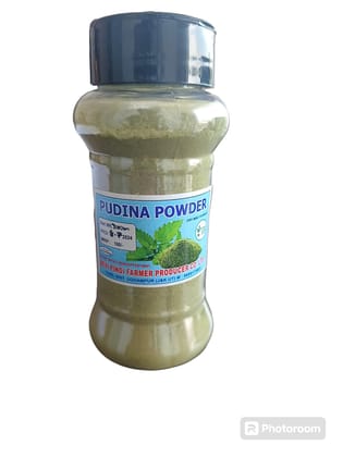 Pudina Powder