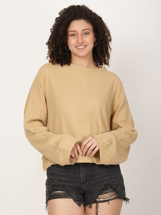 Women Solid textured Pullover Sweatshirt