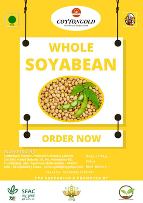 soybean