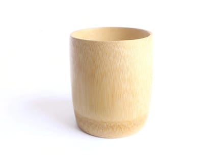 Bamboo Glass