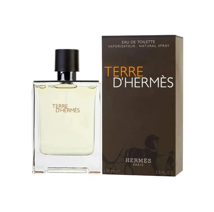 Hermes Terre D'Hermes 100ml Eau De Toilette for Men Perfume Spray