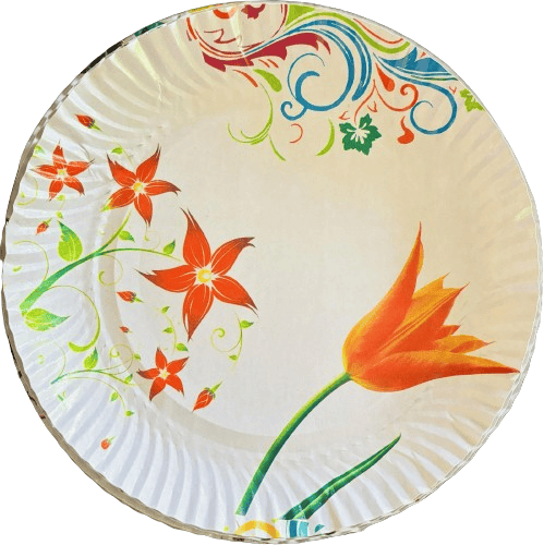 ASOMI PAPER PLATE