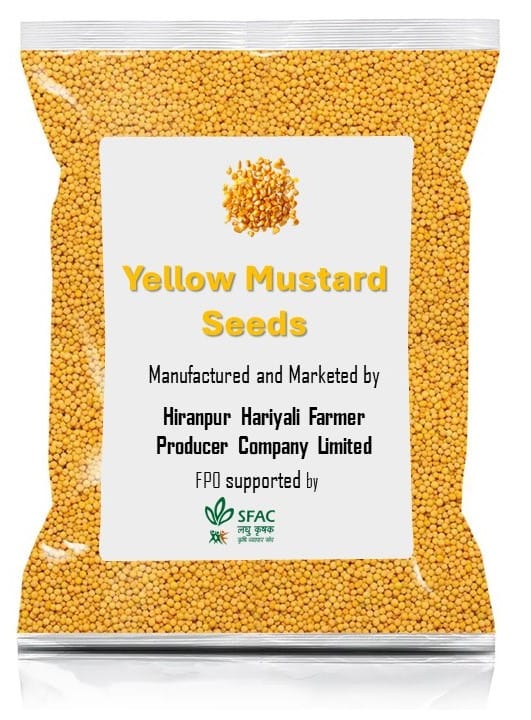 Yellow Mustard Seeds | Sarso