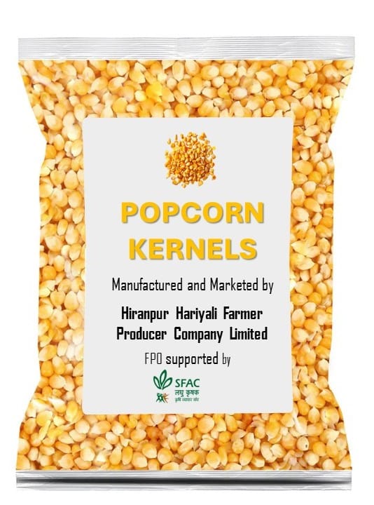 Maize | Popping Kernels