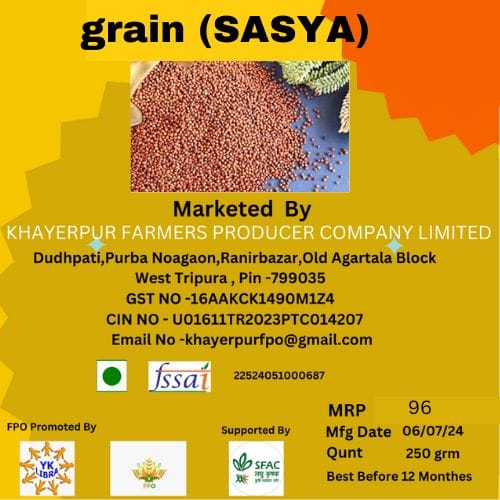 grain (SASYA)