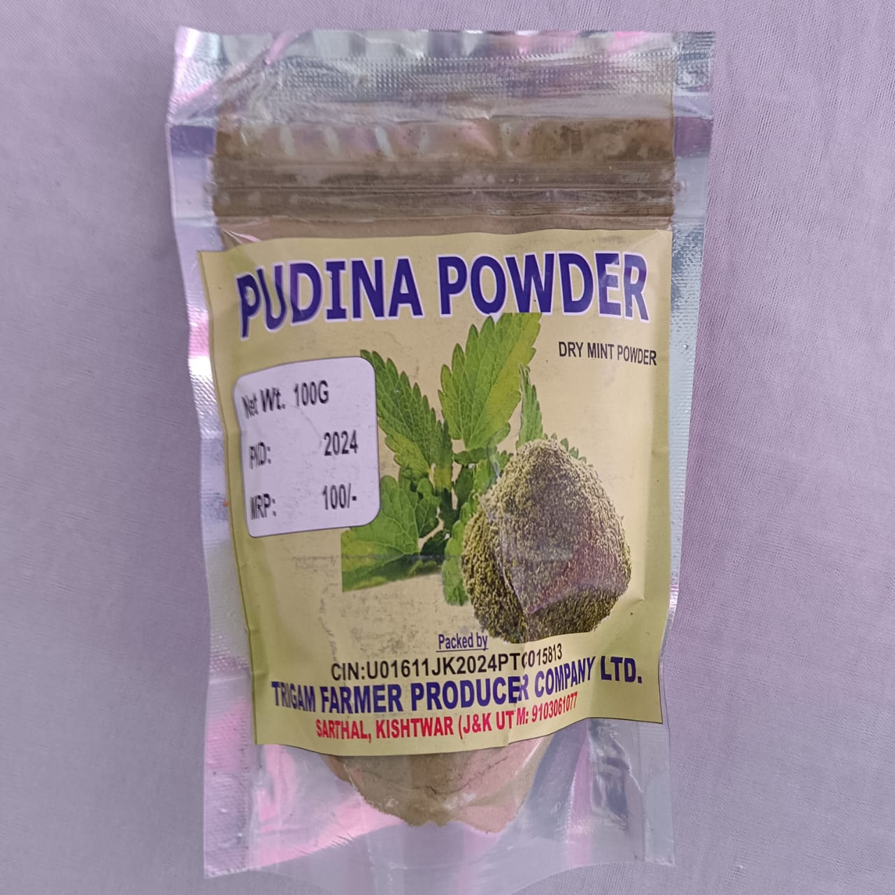 Pudina Powder