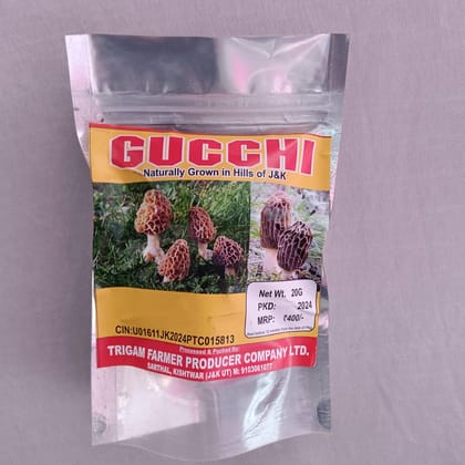 Gucchi Mushrooms