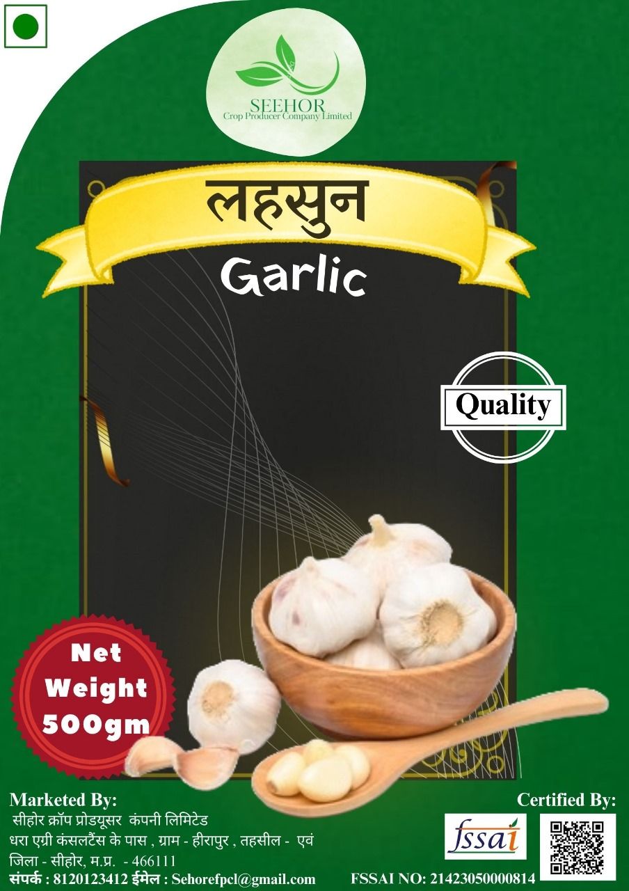 GARLIC (Lehsun)