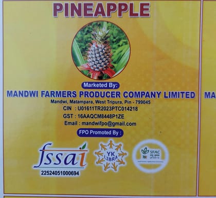 Tripura pineapple