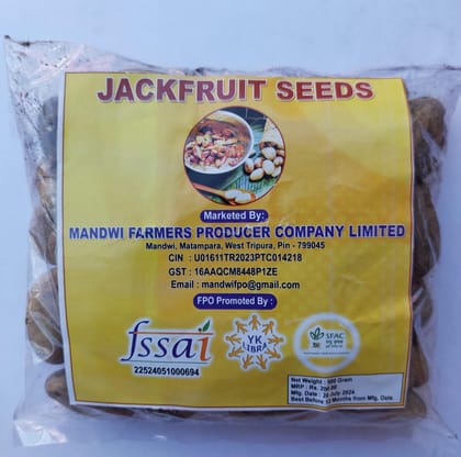 Jackfruit Seed