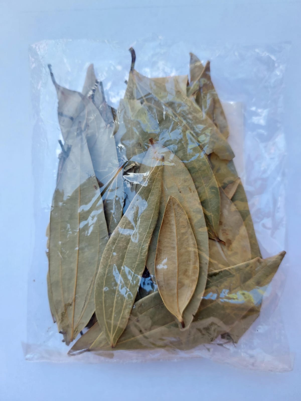 Bay Leaf