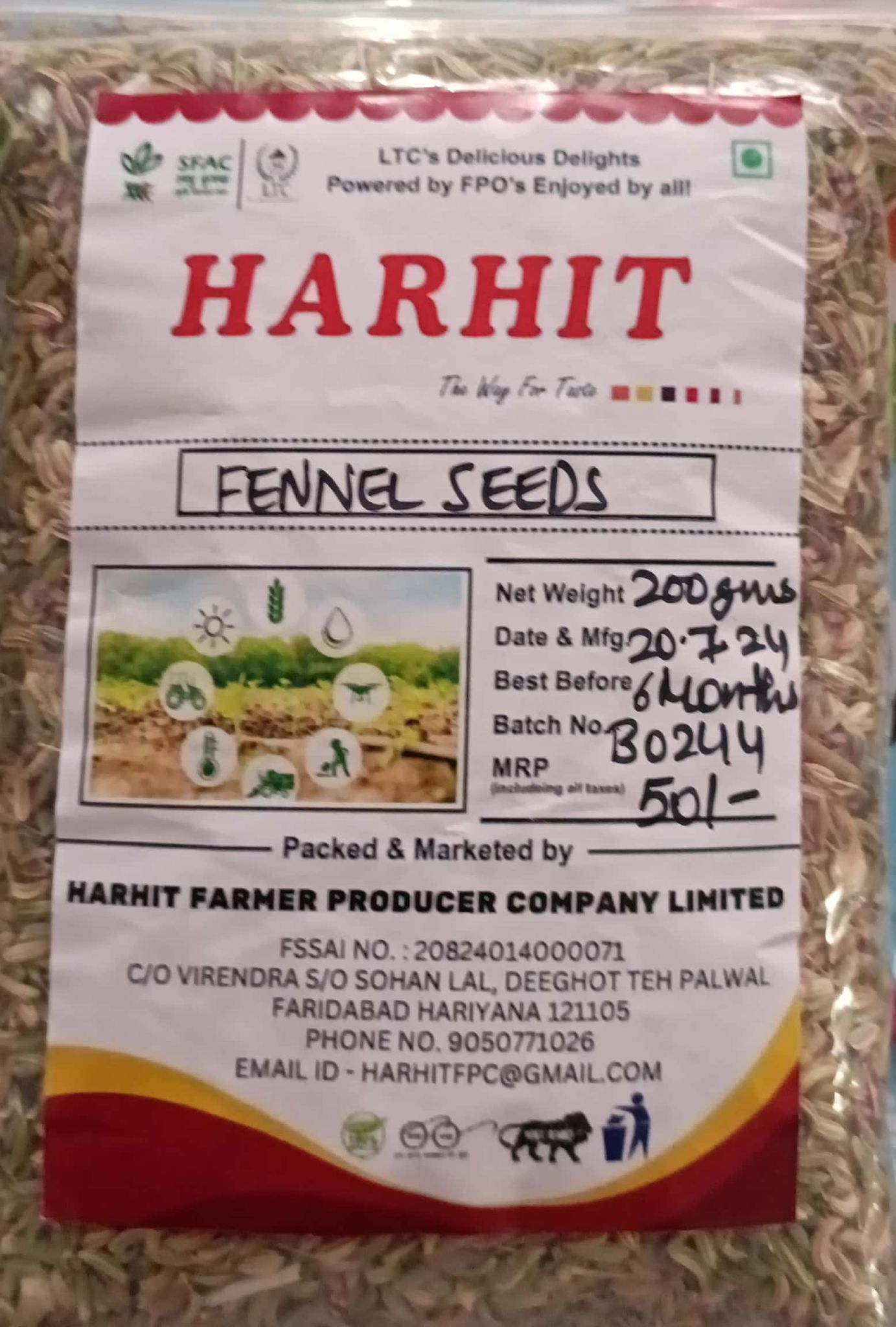 Fennel Seeds