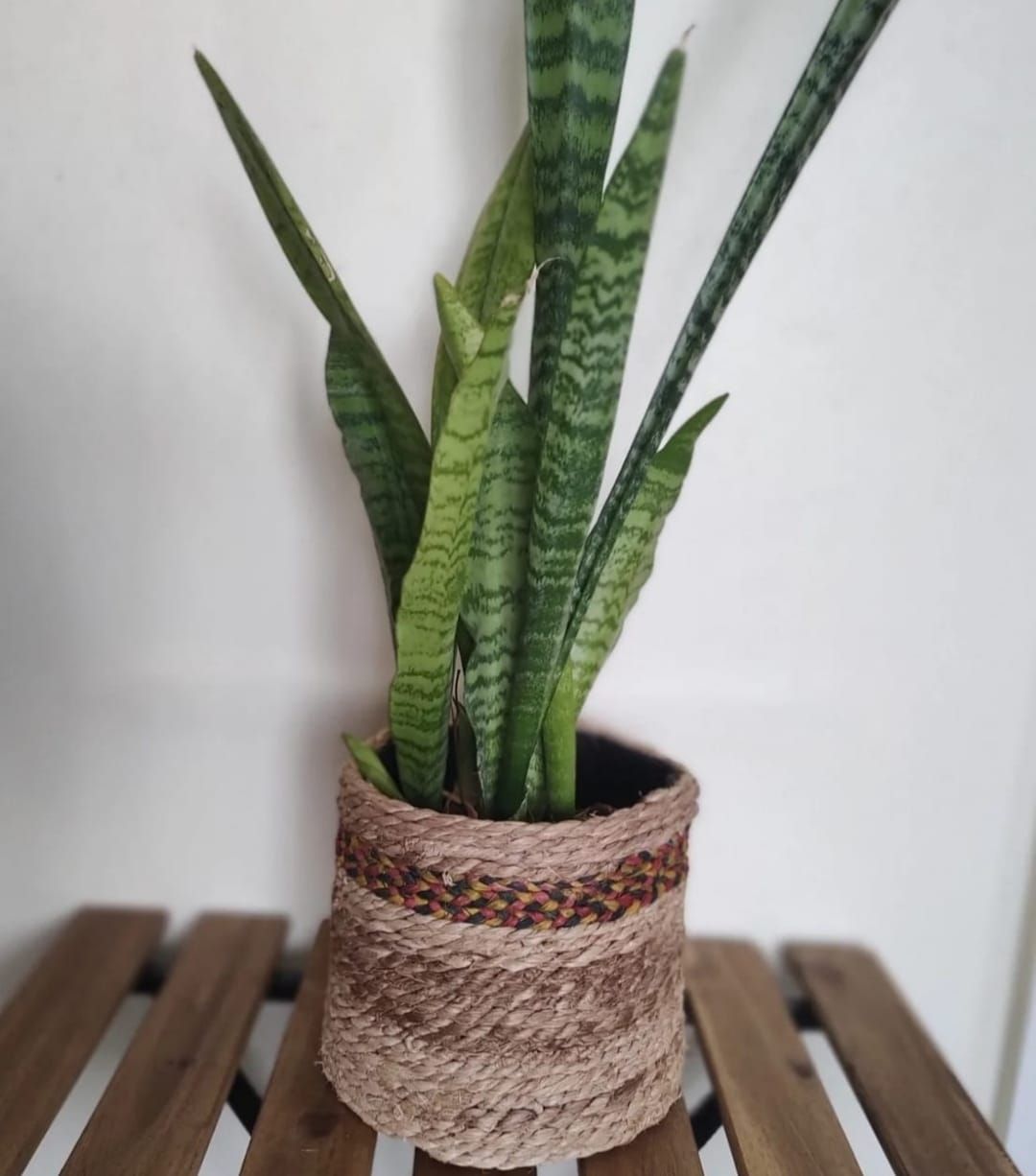 FIBER AND BANANA FLOWER POT