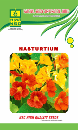 NSC Nasturtium Flower Seed - 2 gm seed