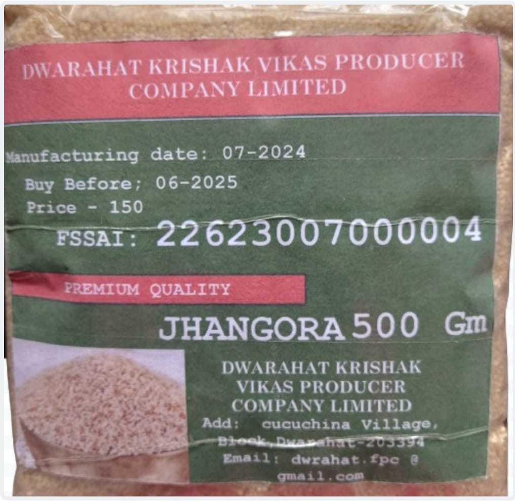 Uttarakhand Famous burnyard millet or jhangora rice