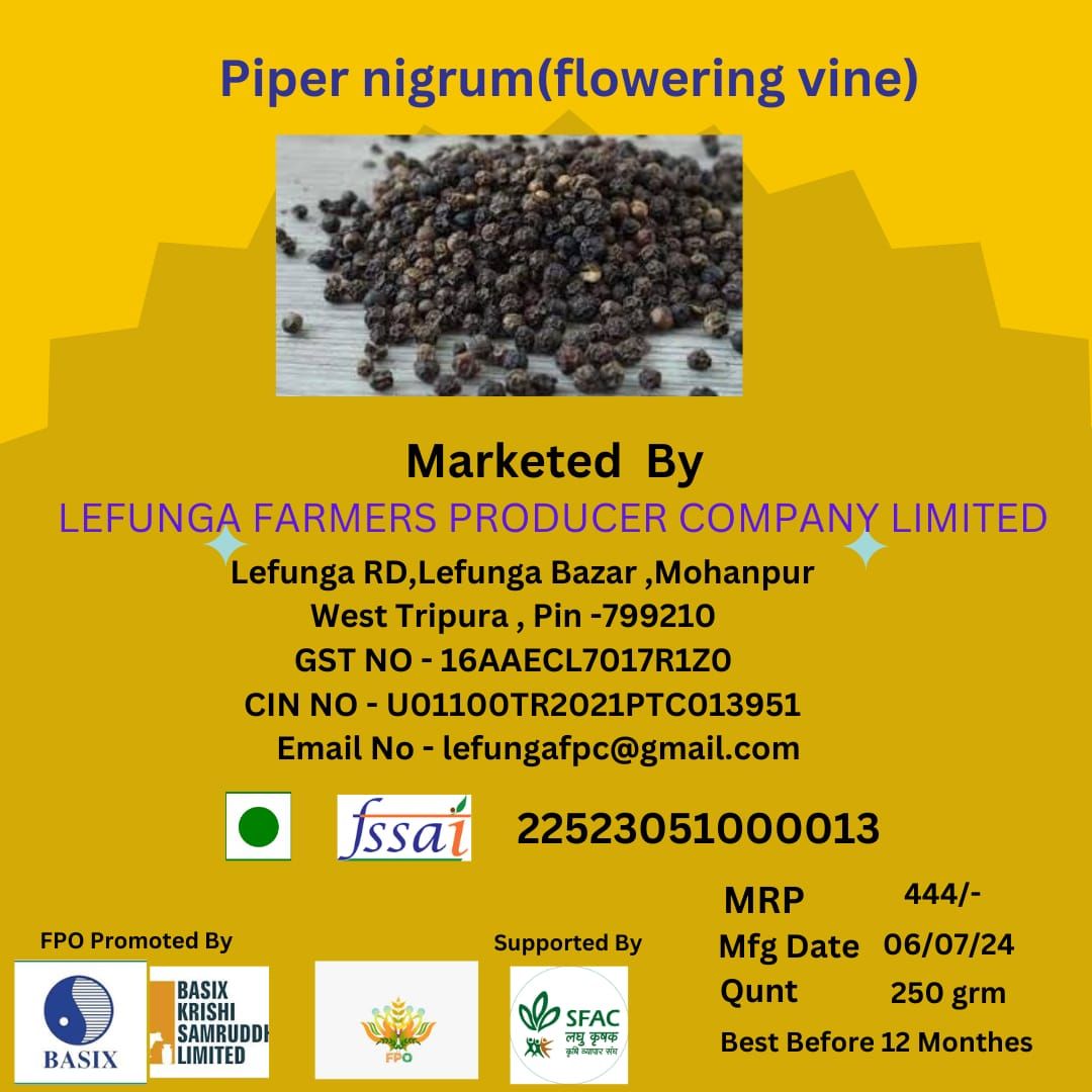 Piper nigrum(flowering vine)