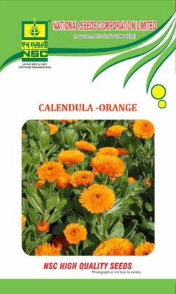 NSC Calendula Flower- Orange/ 5 gm packet