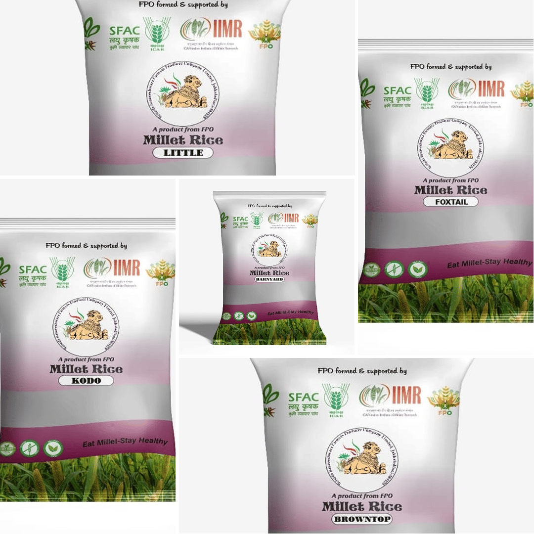 MILLET COMBO PACK (MINOR MILLETS)