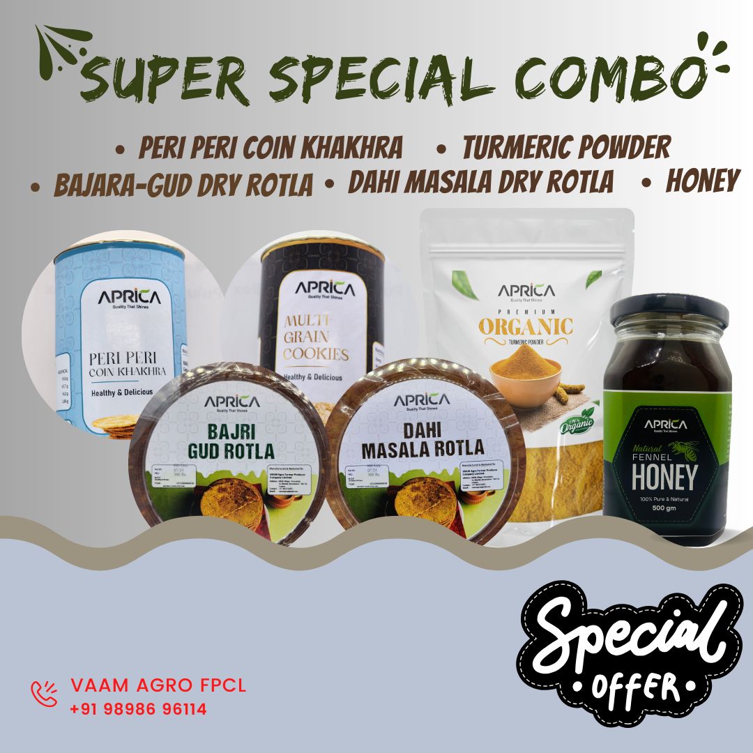 Super Special COMBO | Peri Peri Coin Khakhra | Bajra Gud Dry Rotla | Dahi Masala Dry Rotla | Millet Cookies | Honey | Turmeric Powder - GIFT BOX