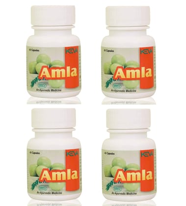 Keva Amla Capsules (Pack of 4) (240 Capsules)