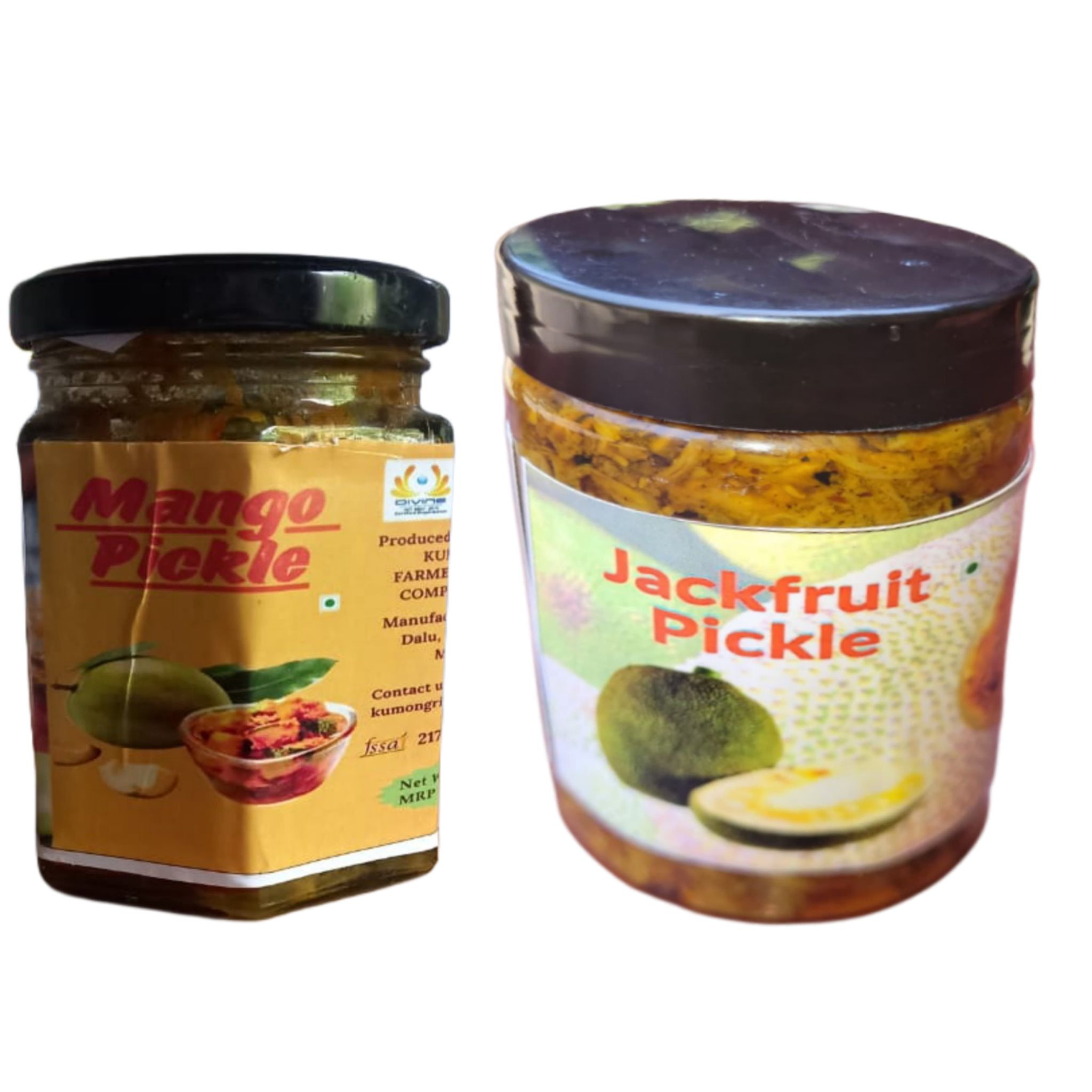 Mango Pickle & Jackfruit Pickle