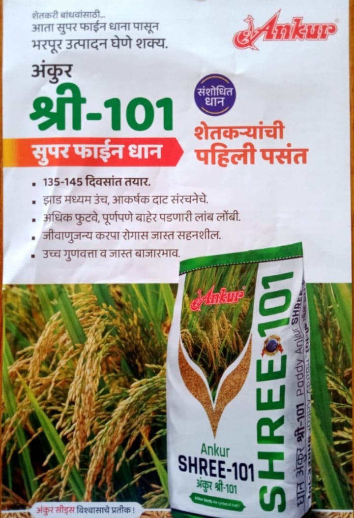 Ankur SEED Paddy Shree-101