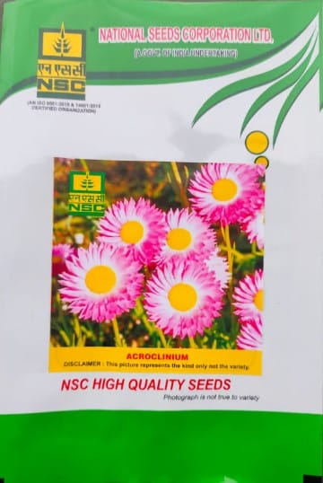 NSC Acrolinium Flower Seed -2 gm packet