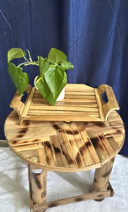 Bamboo Side Table