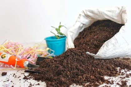 VERMICOMPOST