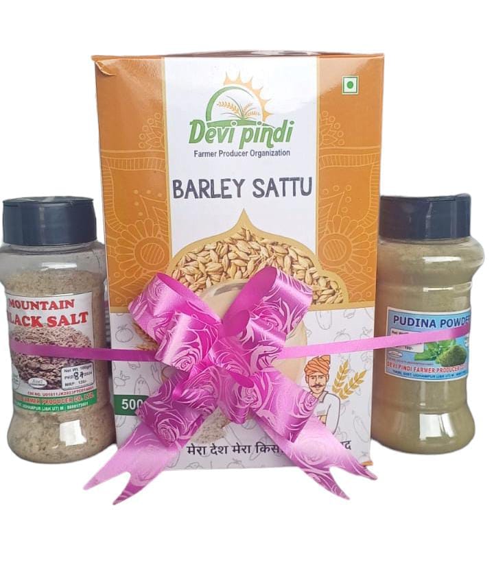 Combo Pack | Pudina Powder | Barley Sattu | Mountain Black Salt