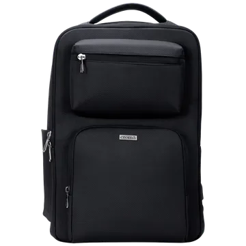 Croma Polyester Fabric Laptop Backpack for 17 Inch Laptop (23 L, Anti Theft Compartment, Black)