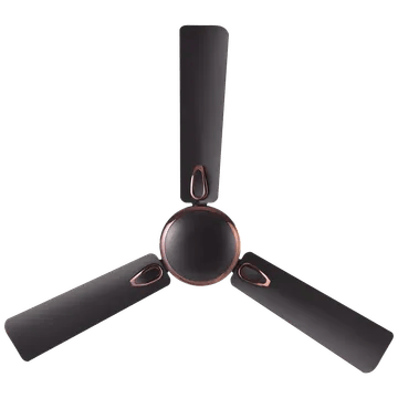 Croma Semi Deco 120cm Sweep 3 Blade Ceiling Fan (400 RPM, Dark Coffee)