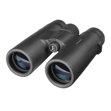 Croma 10 x 42 mm Full Optical Glass Binoculars (2.5 Million Focus Distance, Black)