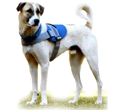 Starfish Dog Harness -No-Pull Reflective Breathable Adjustable Pet Vest with Handle for Outdoor Walking - No More Pulling, Tugging or Choking (Medium, Blue)