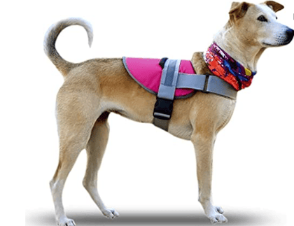 Starfish Dog Harness -No-Pull Reflective Breathable Adjustable Pet Vest with Handle for Outdoor Walking - No More Pulling, Tugging or Choking (Pink, Small)