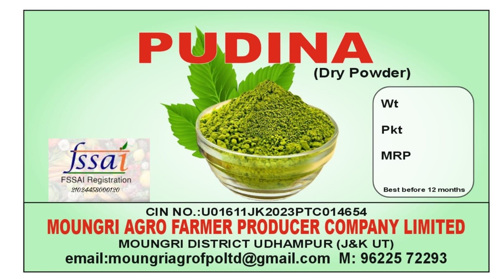 Pudina Powder