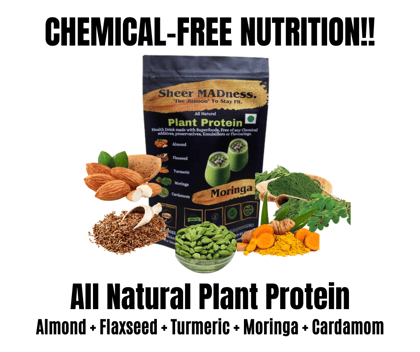 Sheer Madess Plant Protein - Moringa