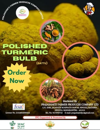 Polished Turmeric Bulb