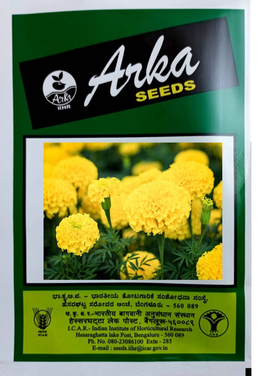 NSC IIHR MARIGOLD SEEDS ARKA BHANU-F1 HYBRID-1 GRAM