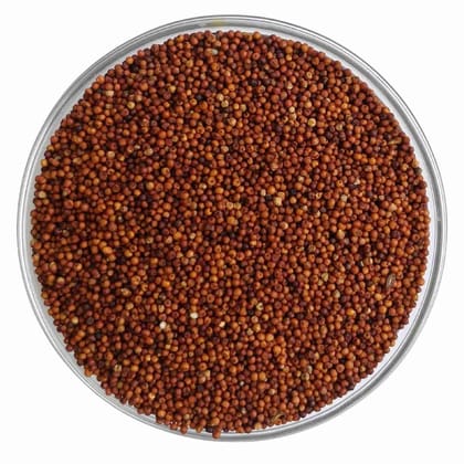 NSC RAGI VL-376 CERTIFIED SEEDS-5 KG