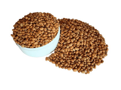 NSC COWPEA DC-15 CS-5 KG