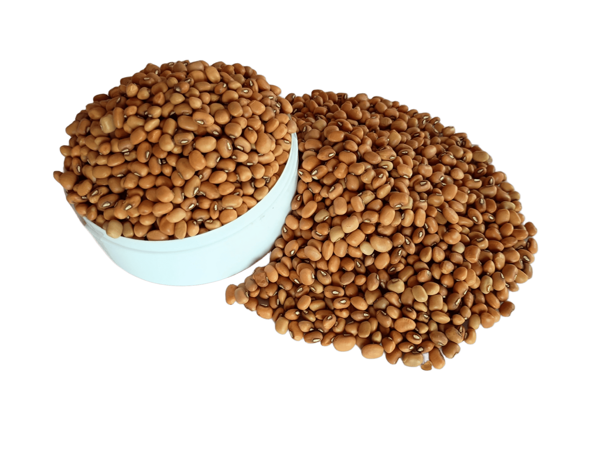 NSC COWPEA DC-15 CS-5 KG