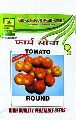 NSC Hybrid F-1 Tomato Seeds - Hybrid Round