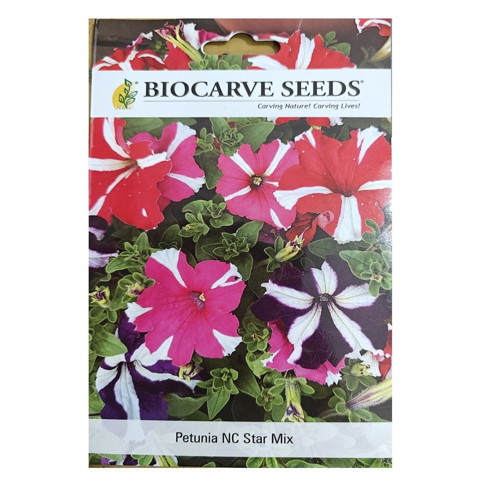 Petunia Nana Compacta (NC) Star Mix Flower Seeds