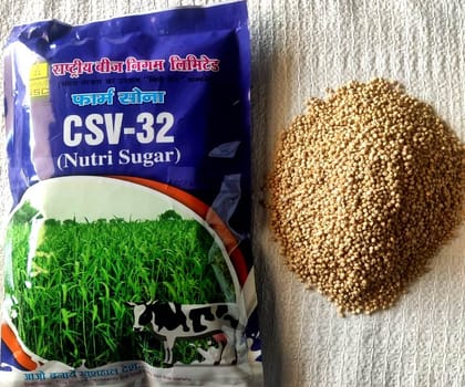 FODDER SORGHUM CSV-32F TL SEEDS 1KG POUCH