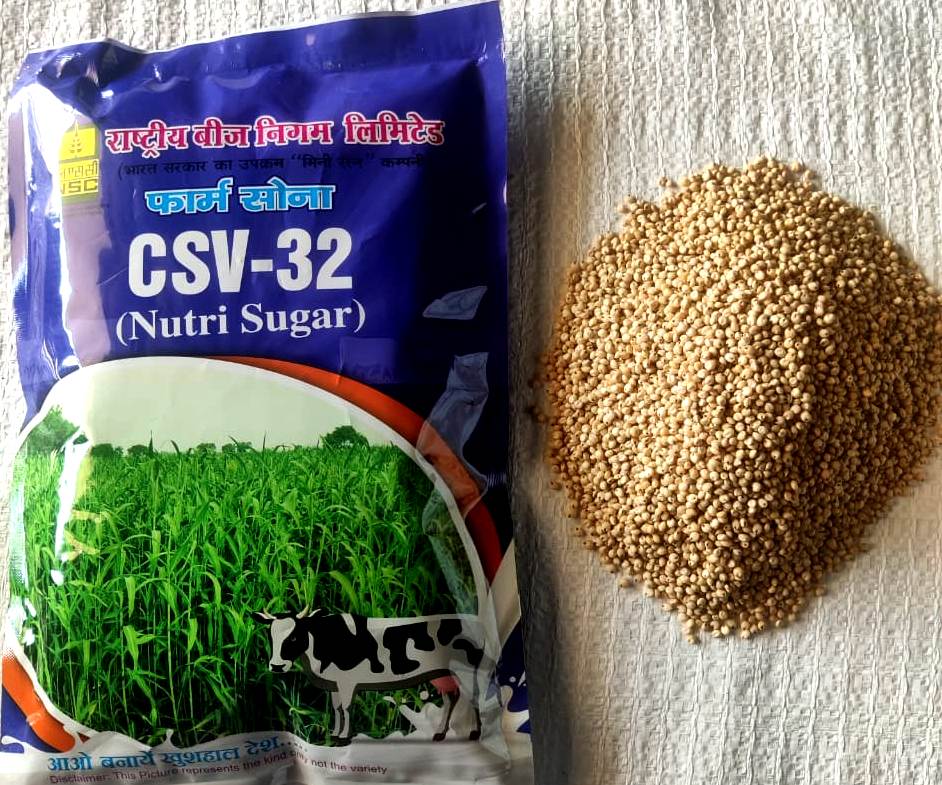 FODDER SORGHUM CSV-32F TL SEEDS 1KG POUCH